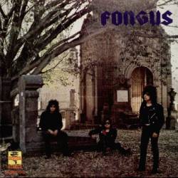 Fongus : Sobredosis de Metal